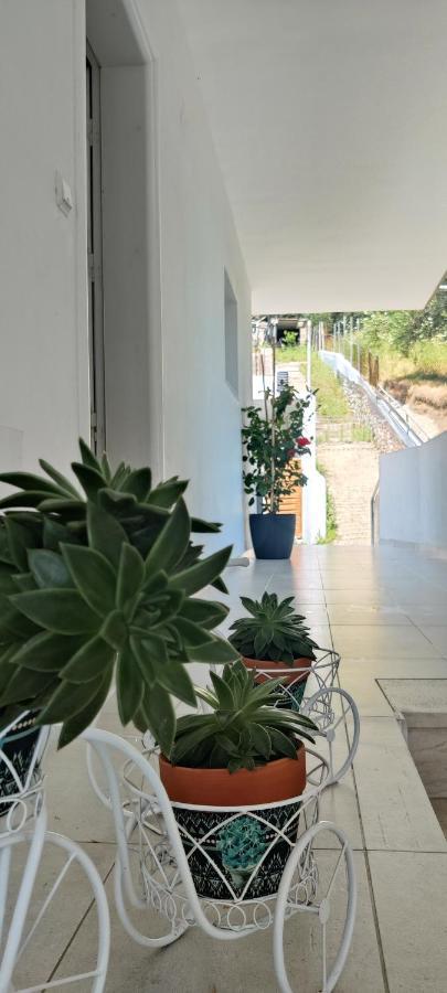 Kiperi Exclusive Parga Exterior foto